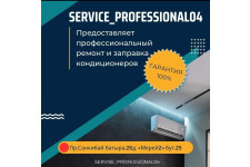 service professional - 2